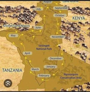 The map of Western Serengeti